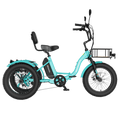 MOONCOOL FT1 Electric Trike