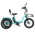 MOONCOOL FT1 Electric Trike