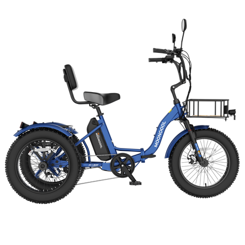MOONCOOL FT1 Electric Trike