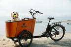 Dirwin Caravan Electric Cargo Bike