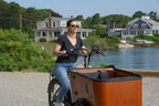 Dirwin Caravan Electric Cargo Bike