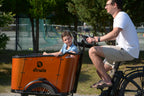 Dirwin Caravan Electric Cargo Bike