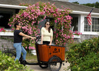 Dirwin Caravan Electric Cargo Bike