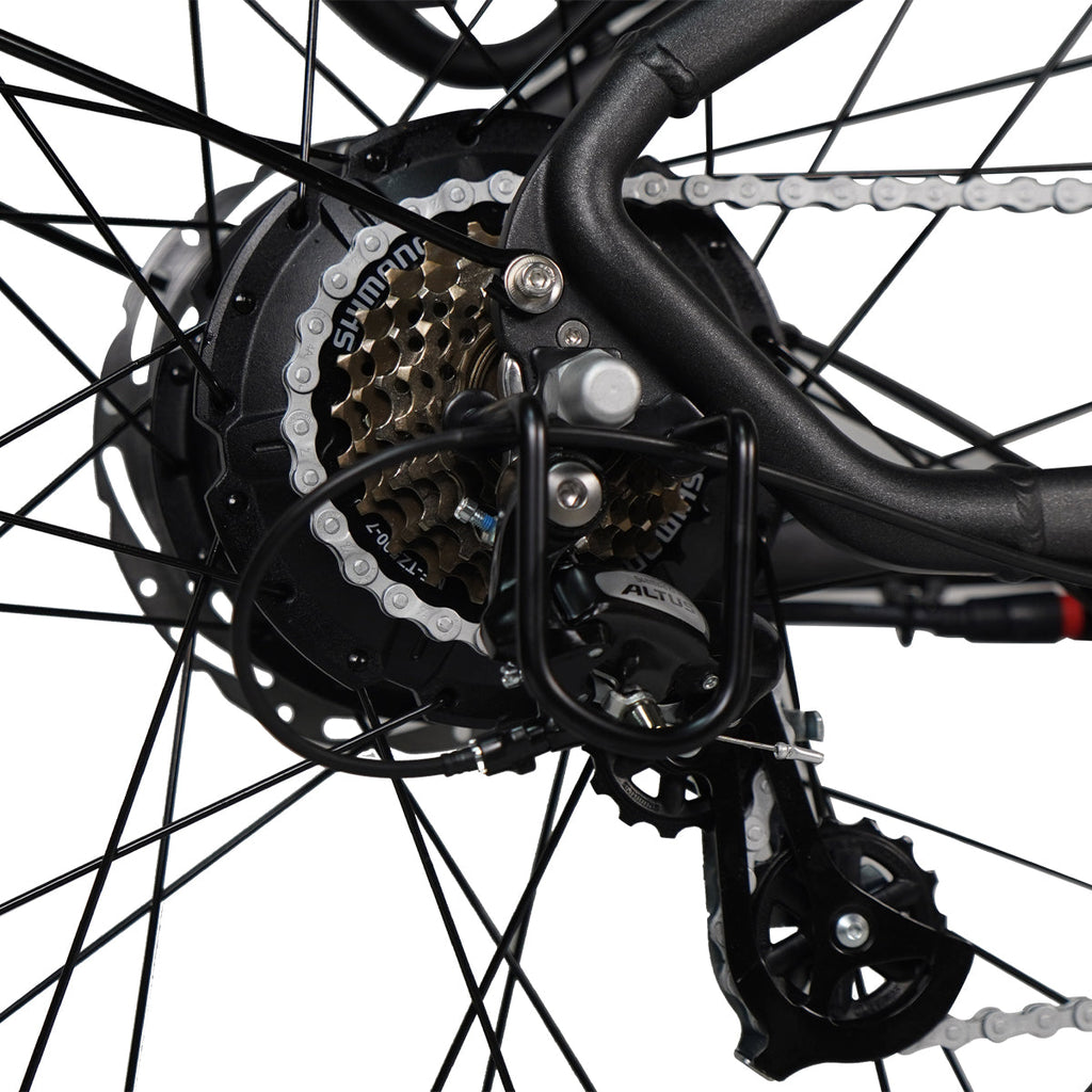 Dirwin Pioneer Plus Fat-Tire