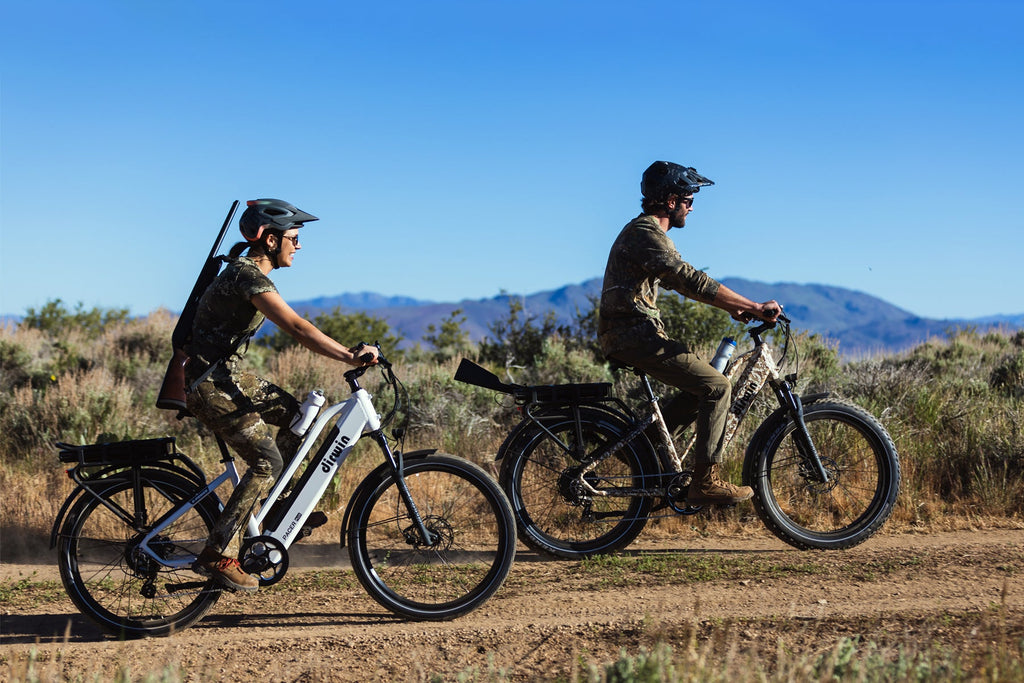 Dirwin Pioneer Plus Fat-Tire