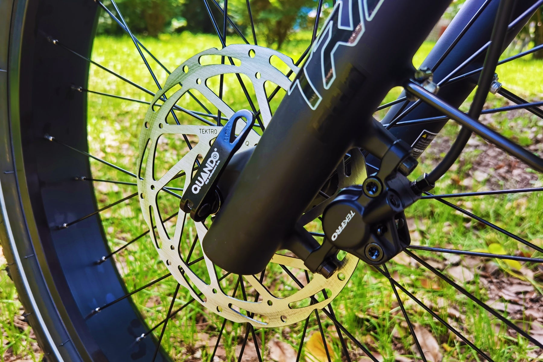 Dirwin Pioneer Plus Fat-Tire