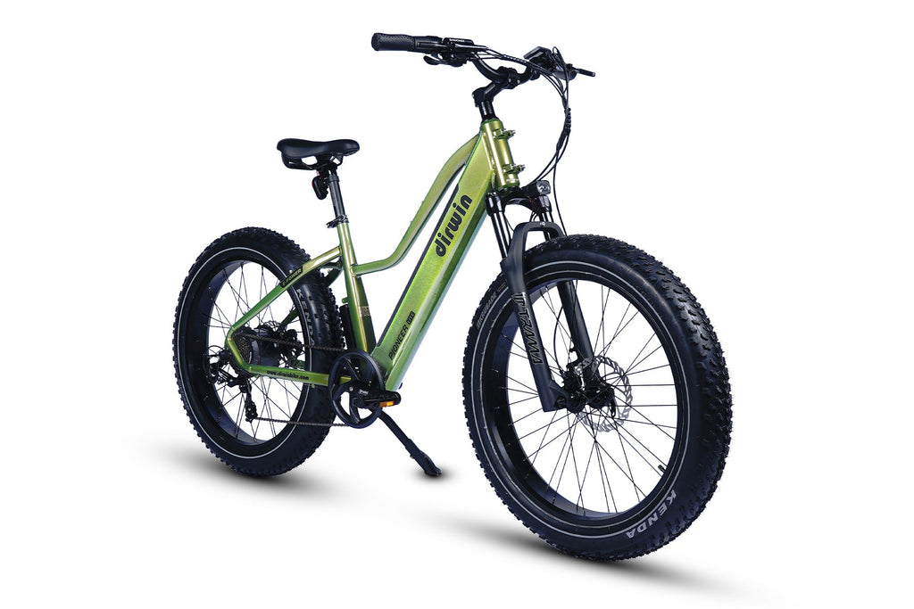 Dirwin Pioneer Lite Fat-Tire