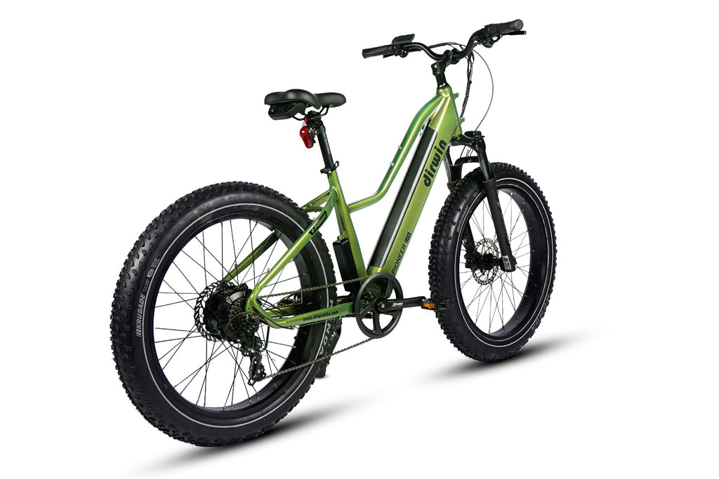 Dirwin Pioneer Lite Fat-Tire