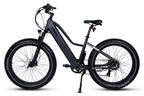 Dirwin Pioneer Lite Fat-Tire