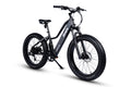 Dirwin Pioneer Lite Fat-Tire
