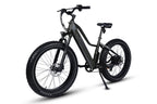 Dirwin Pioneer Lite Fat-Tire