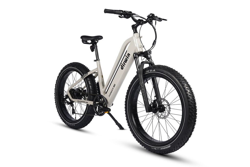 Dirwin Pioneer Lite Fat-Tire