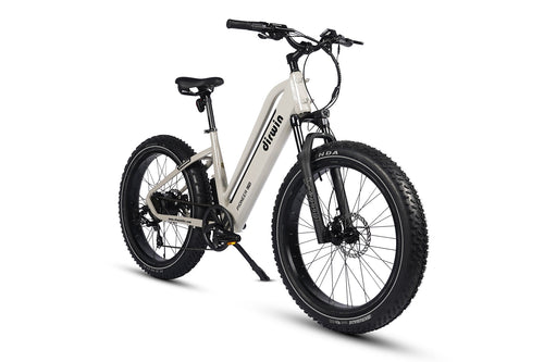 Dirwin Pioneer Lite Fat-Tire