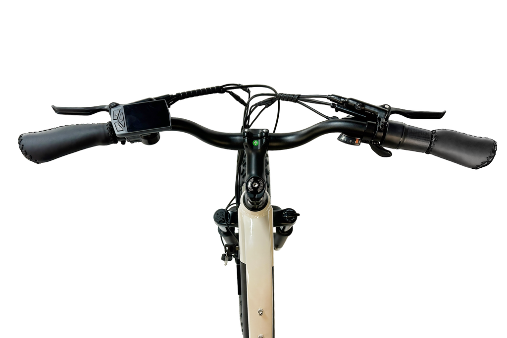 Dirwin Pioneer Lite Fat-Tire